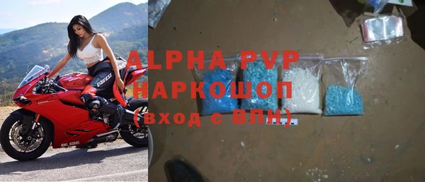 хмурый Алзамай