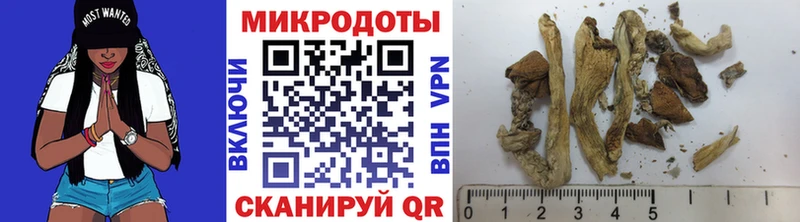Галлюциногенные грибы Cubensis Октябрьск